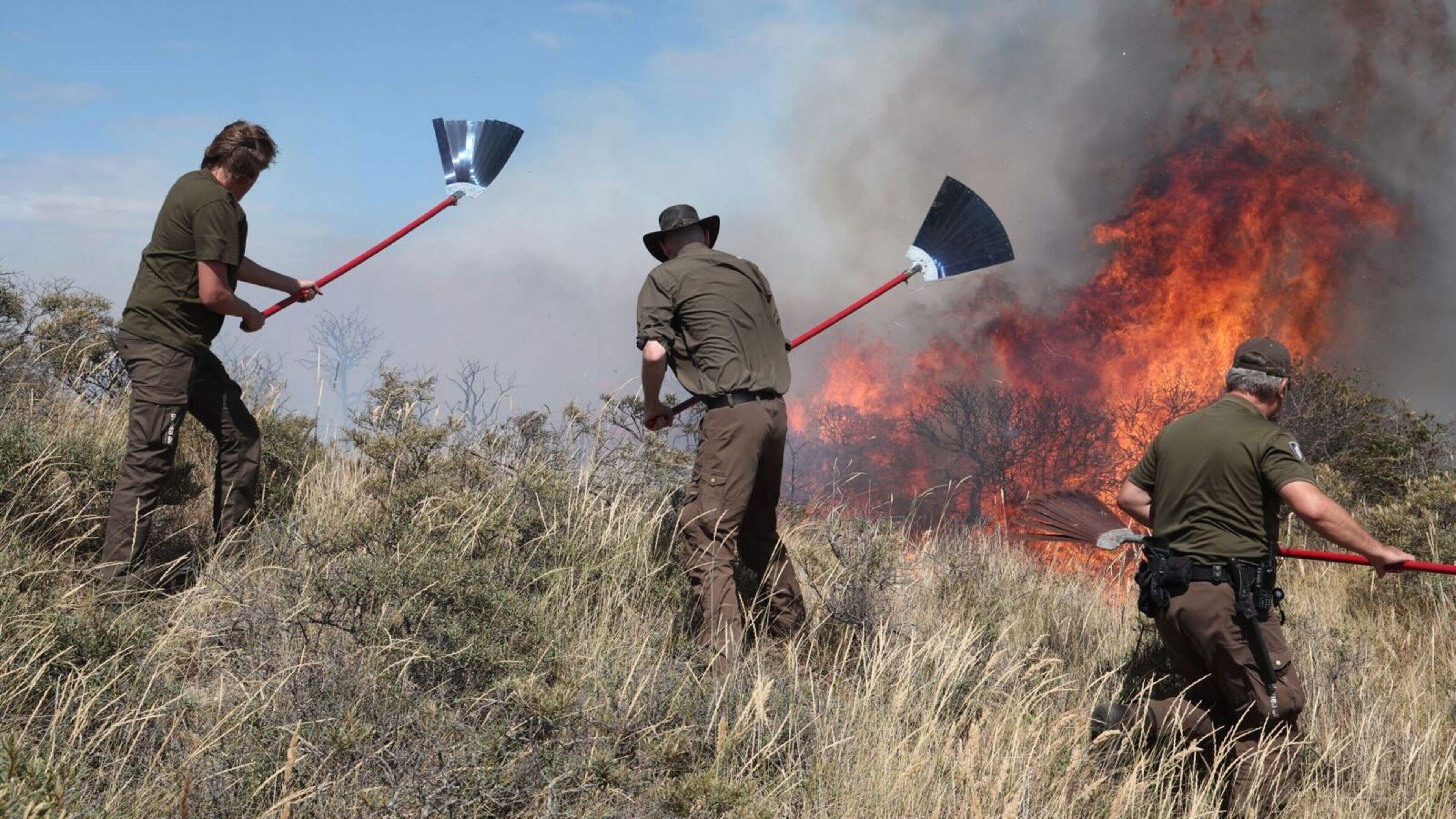 LIVE | Grote brand in duinen bij Wassenaar onder controle, geëvacueerde gasten terug naar hotel